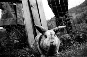 11909839_10206865441127845_1807584152_n